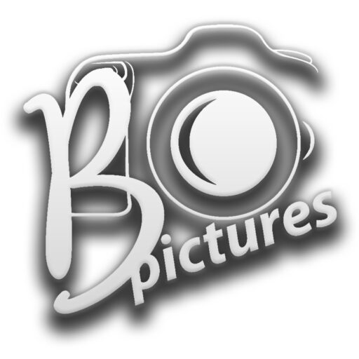 BIHARPICTURES